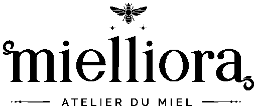 DAE Group SARL